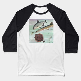 Curious Fish Marine Life Kids Book Illustration Baseball T-Shirt